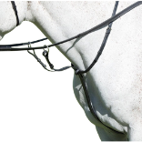 Avignon Running Martingale