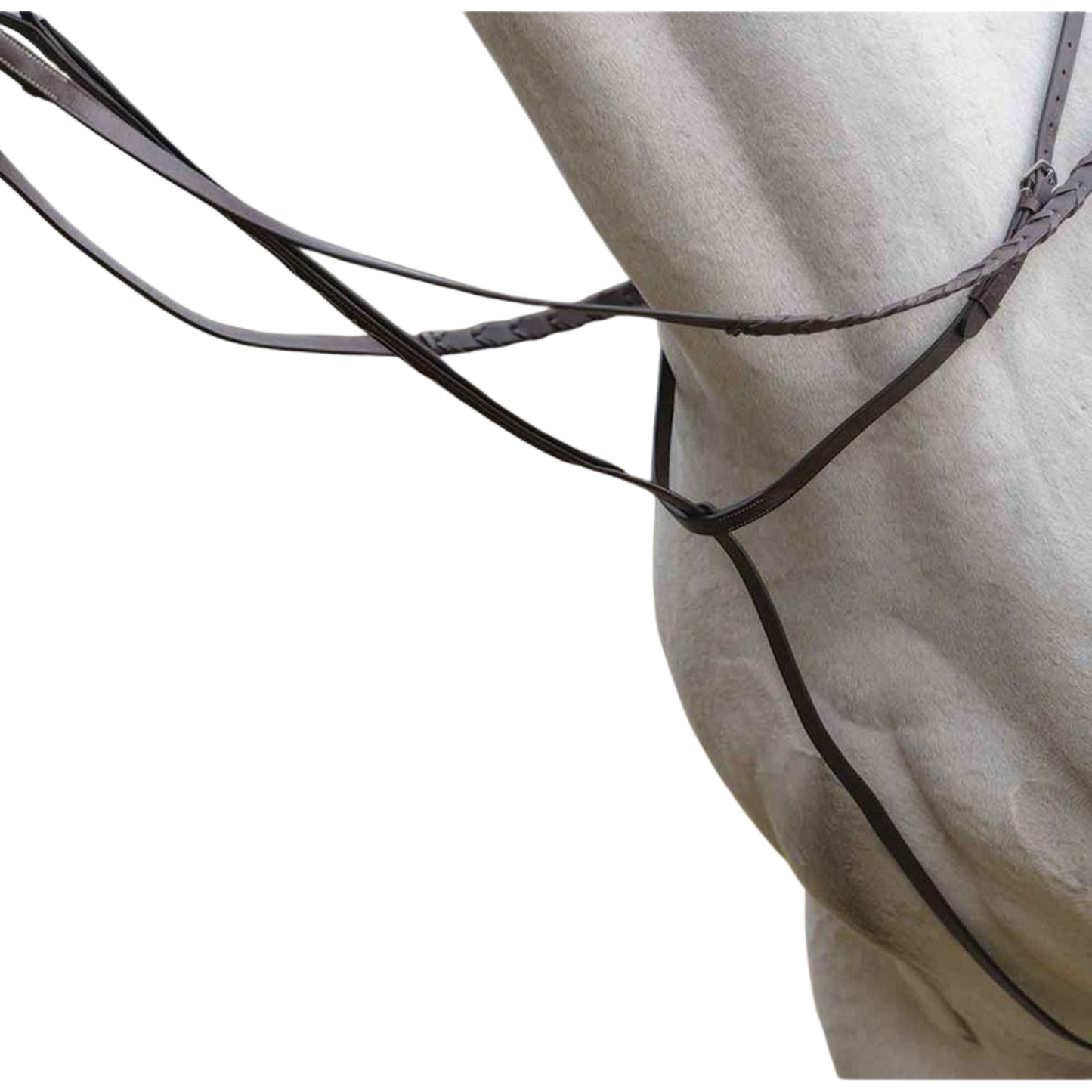 Avignon Standing Martingale