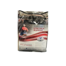 Professional Choice Low Back Support - Black