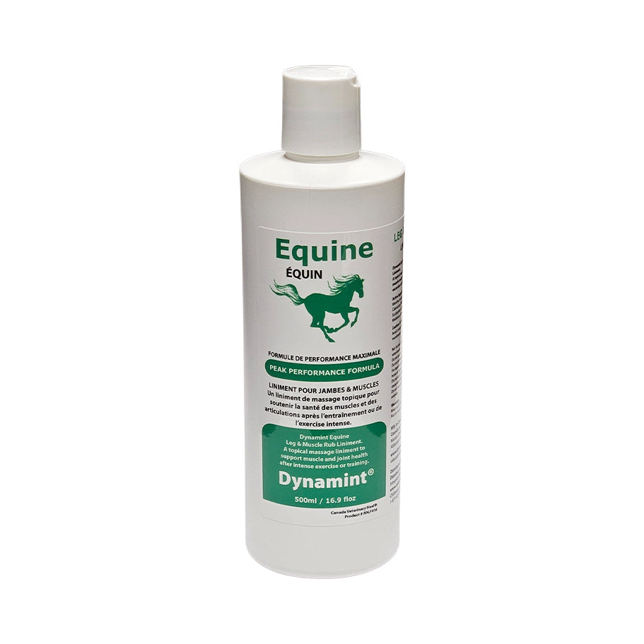 Dynamint Equine Leg & Muscle Rub-250ml