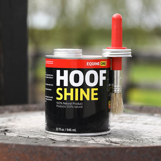 Equine One Hoof Shine
