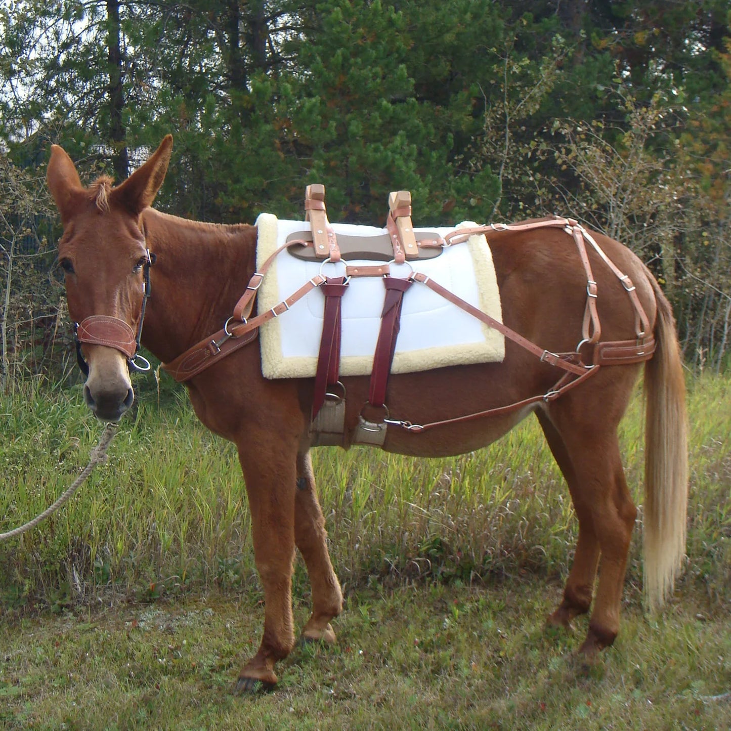 Trail Max Deluxe Canvas And Fleece Pack Pad