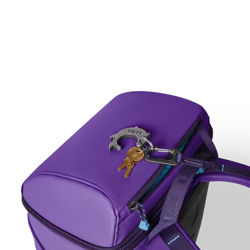 Yeti Daytrip® 20L Insulated Backpack - Pace Purple/Blue