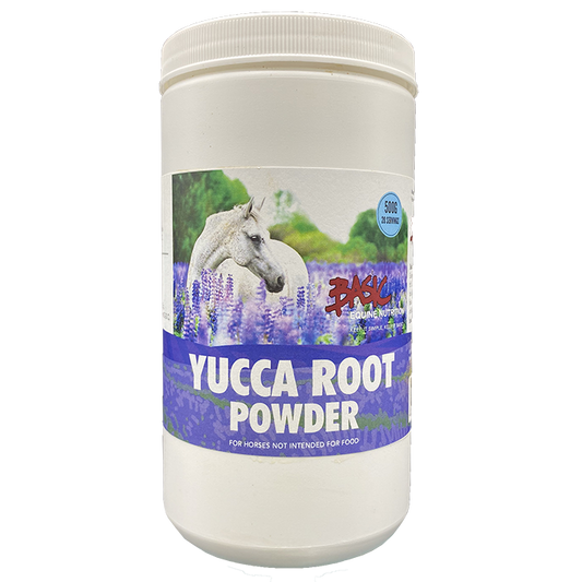 Basic Equine Yucca Root Powder