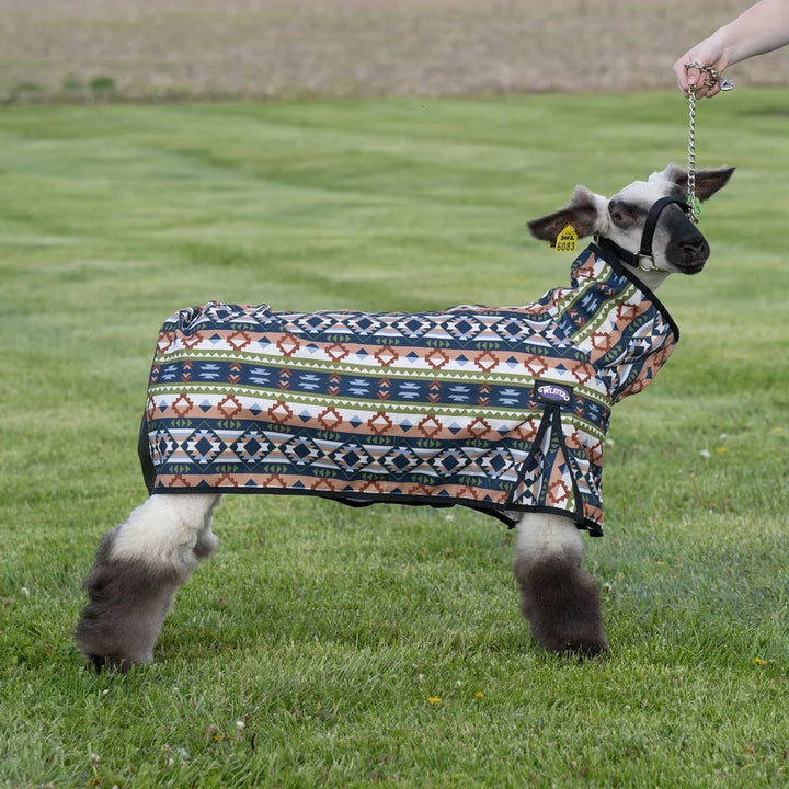 Weaver Medium Nylon Sheep Blanket with Mesh Butt- Multiple Colours