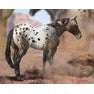 Breyer Kid's Collecta Appaloosa Blue Roan