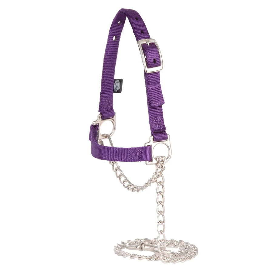 Weaver Adjustable Sheep Halter-Multiple Colours