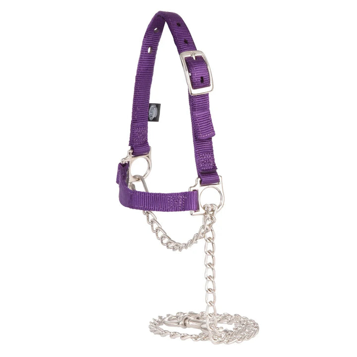 Weaver Adjustable Sheep Halter-Multiple Colours