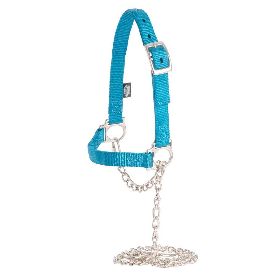 Weaver Adjustable Sheep Halter-Multiple Colours