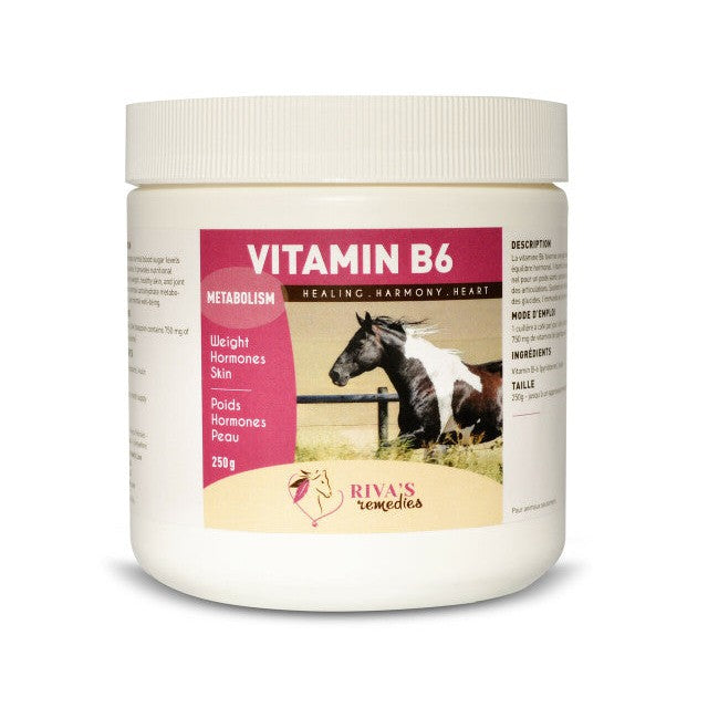 Riva's Remedies Equine Vitamin B6 - 250g