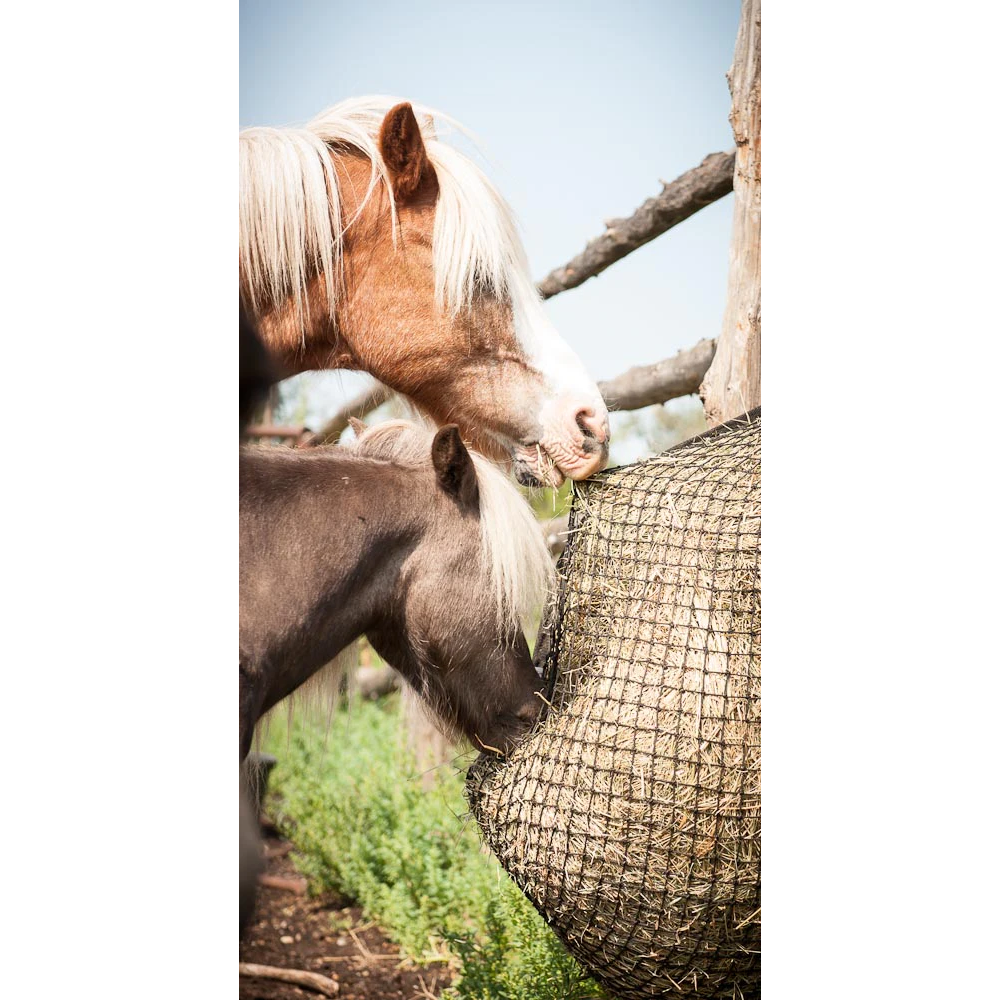 Eco Net Mini Hay Net - Heavy Duty