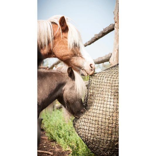 Eco Net Mini Hay Net - Heavy Duty