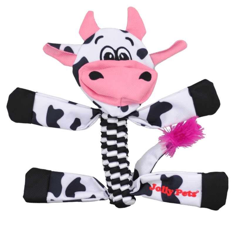 Jolly Pets Flathead-Cow