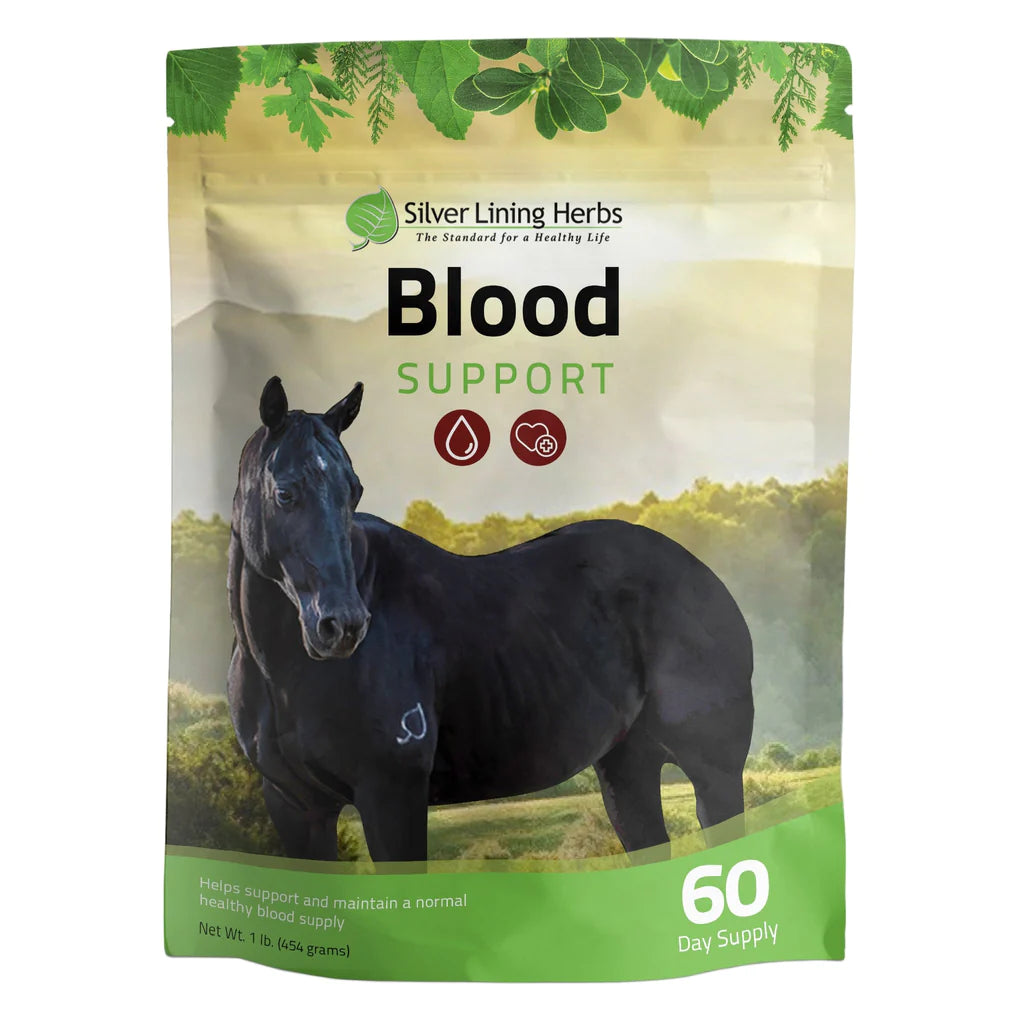 Silver Lining Herbs Blood Support