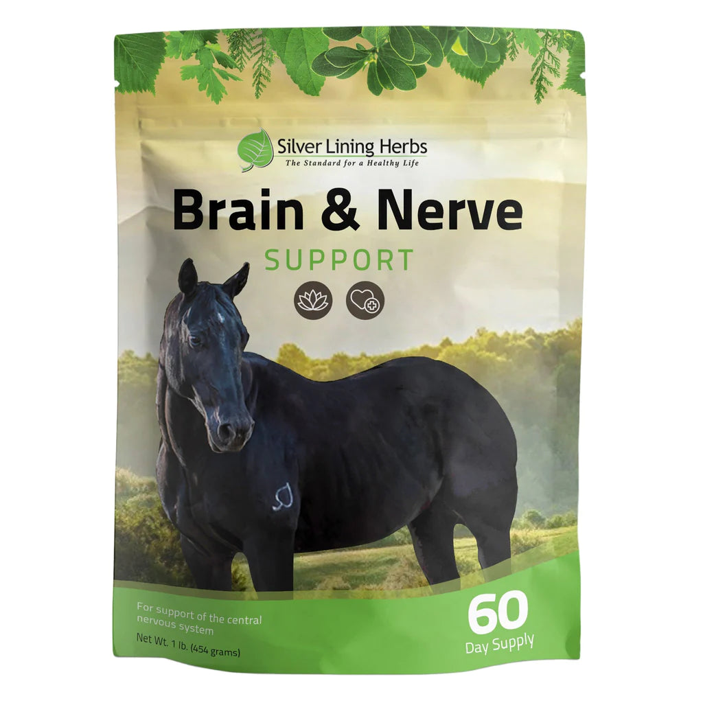 Silver Lining Herbs Brain and Nerve Support 
