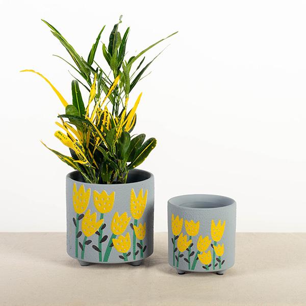 Terracotta Flower Pot, Tulips, Set of 2