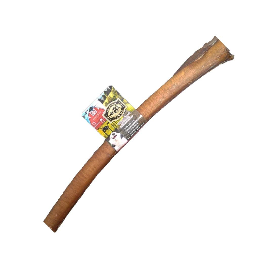 Bully Stick-Thick-Exeter
