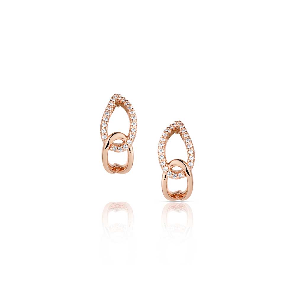 Montana Silversmith Rose of the Rockies Earrings