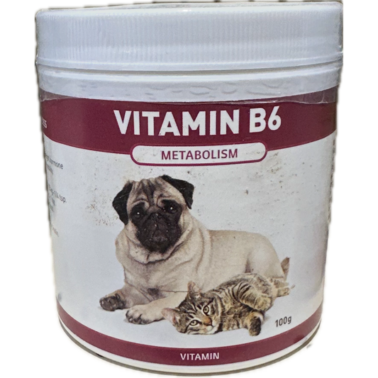 Riva's Remedies Dog & Cat Vitamin B6 - 100g