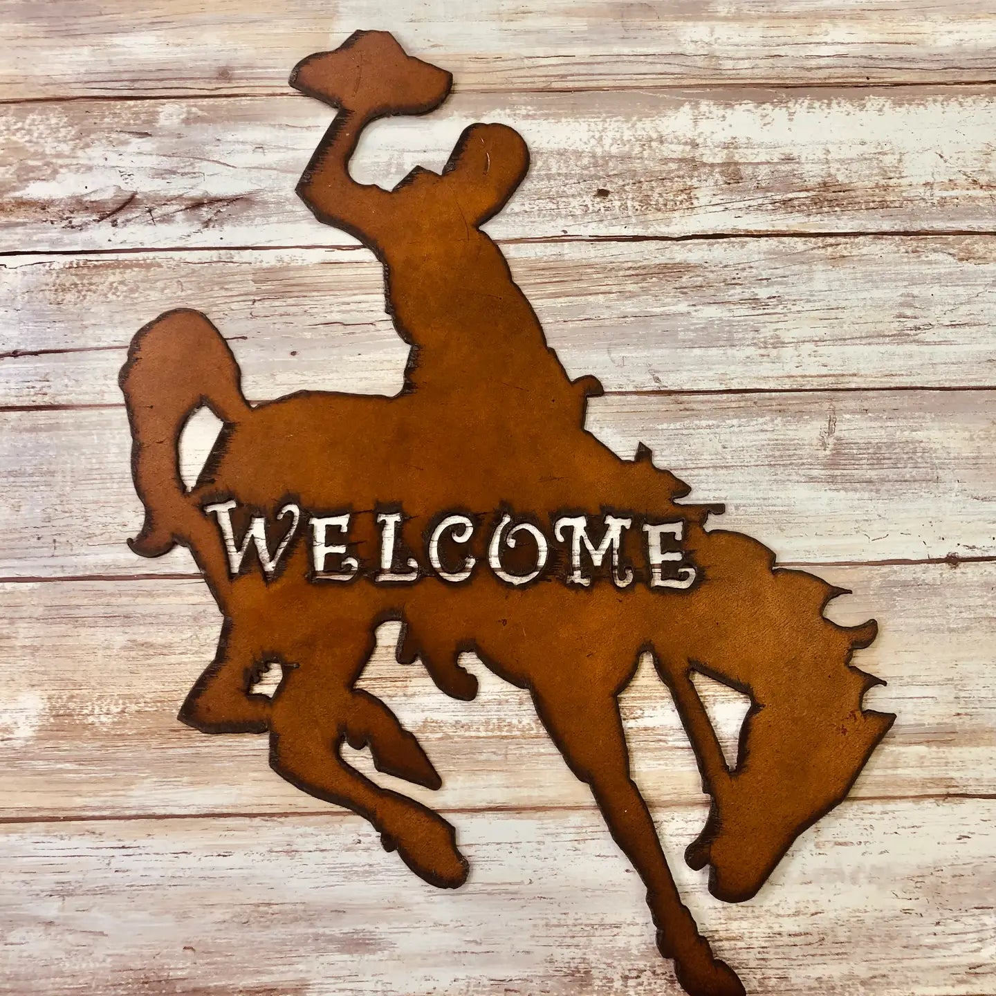 Bronc Rider Wyoming Western Welcome Sign