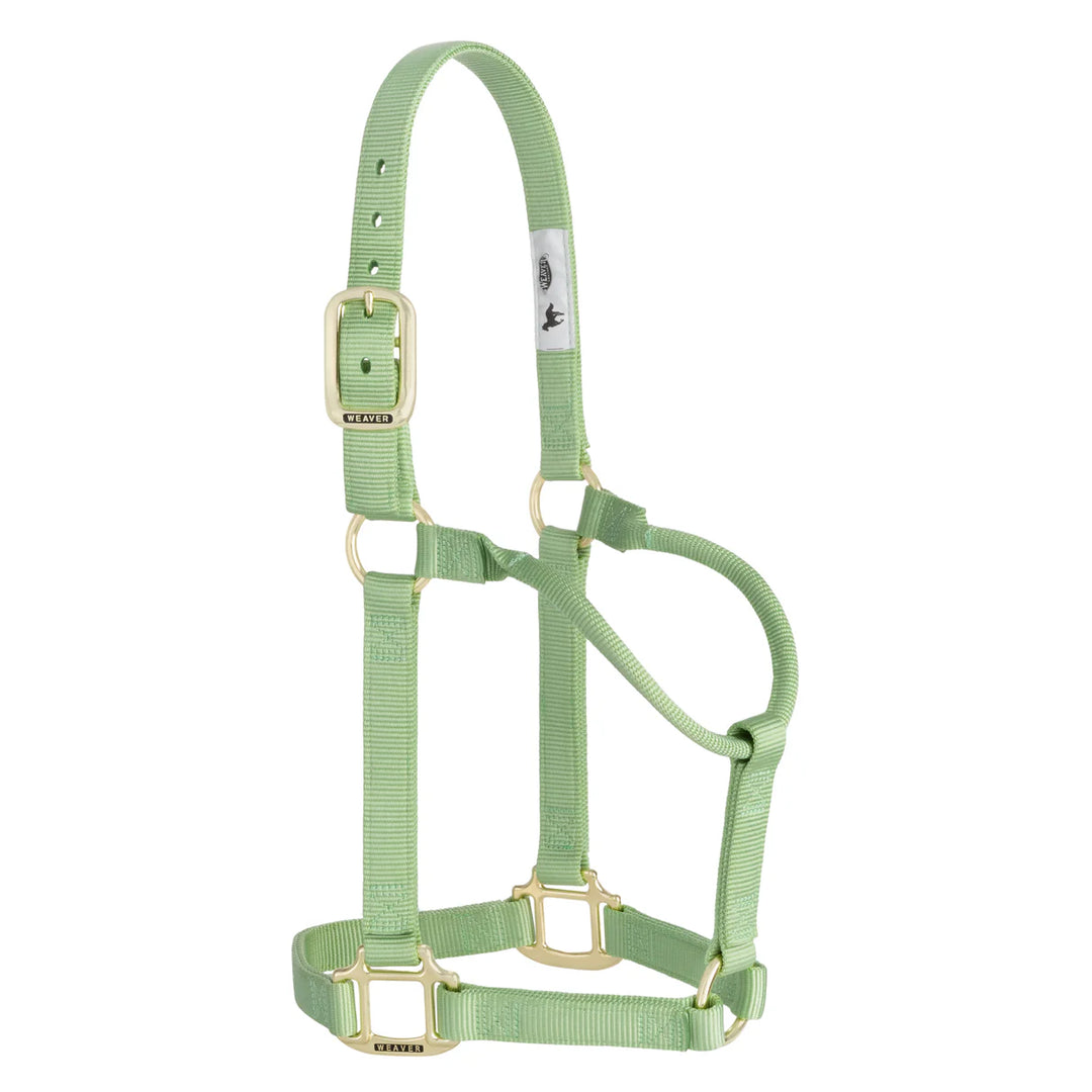 Weaver Leather Original Non-Adjustable Nylon Horse Halter -SMALL HORSE