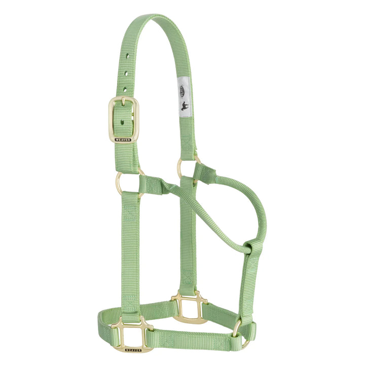 Weaver Leather Original Non-Adjustable Nylon Horse Halter -SMALL HORSE