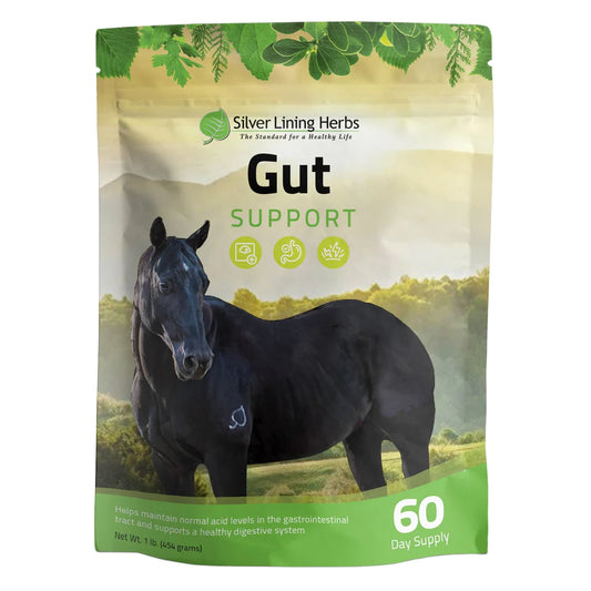 Silver Lining Herbs Gut Support-1LB
