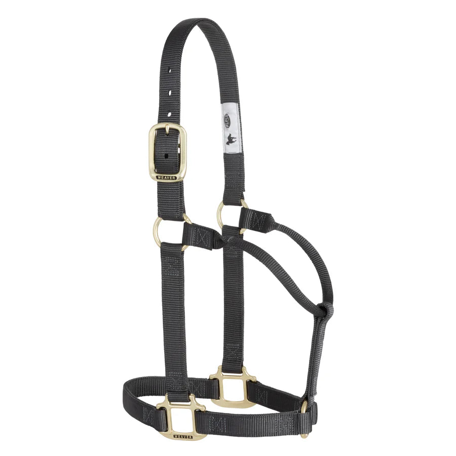 Weaver Leather Original Non-Adjustable Halter 1" - Yearling - Irvine Tack & Western Wear