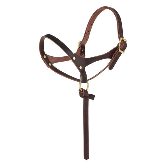Figure 8 Foal Halter-Suckling-Burgundy
