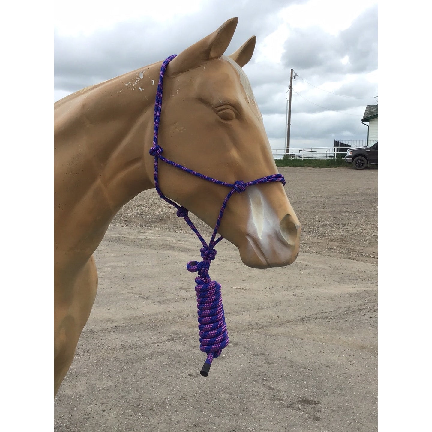 Irvine Rope Halter w/Matching Lead Rope
