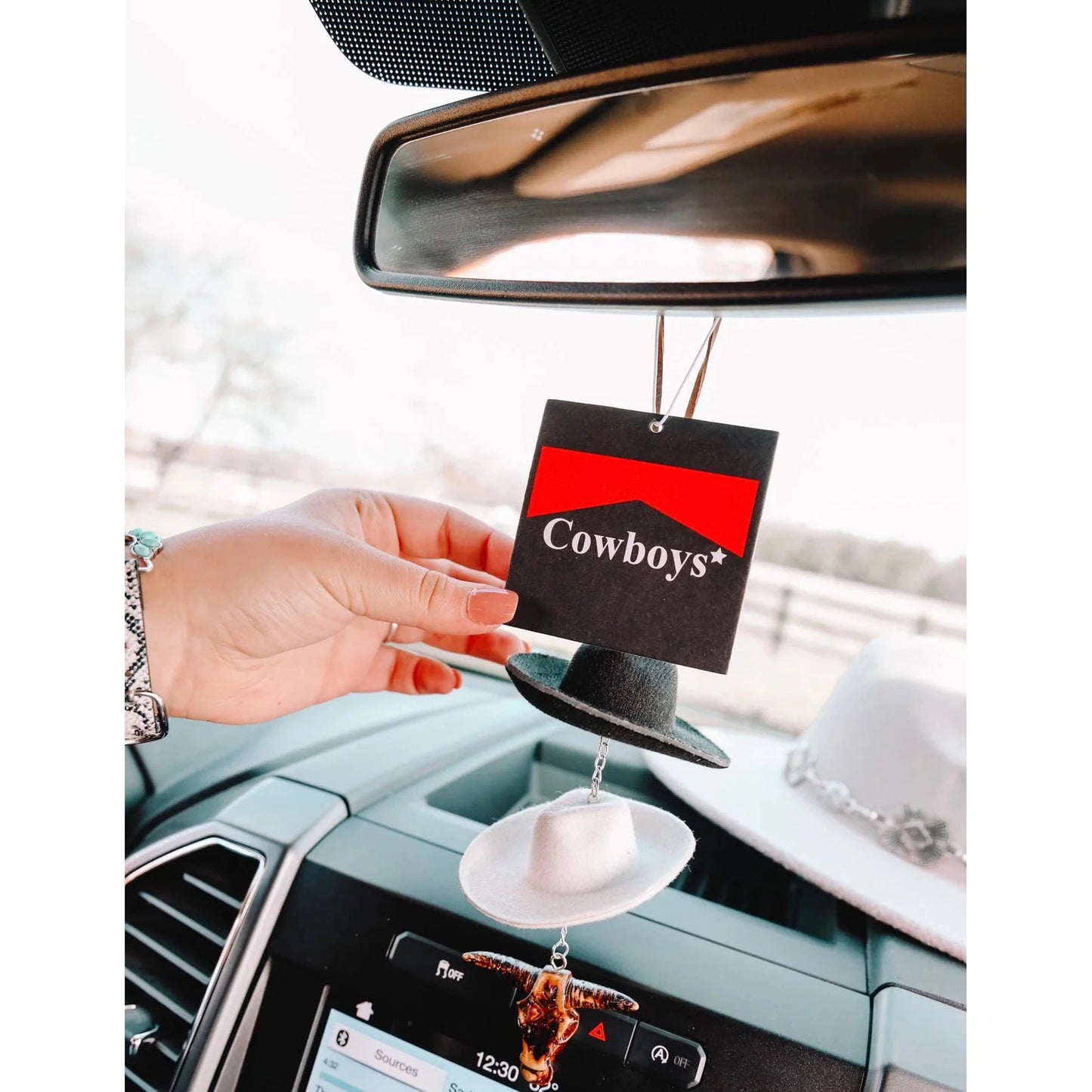 Front Porch Western Air Fresheners - Assorted Styles