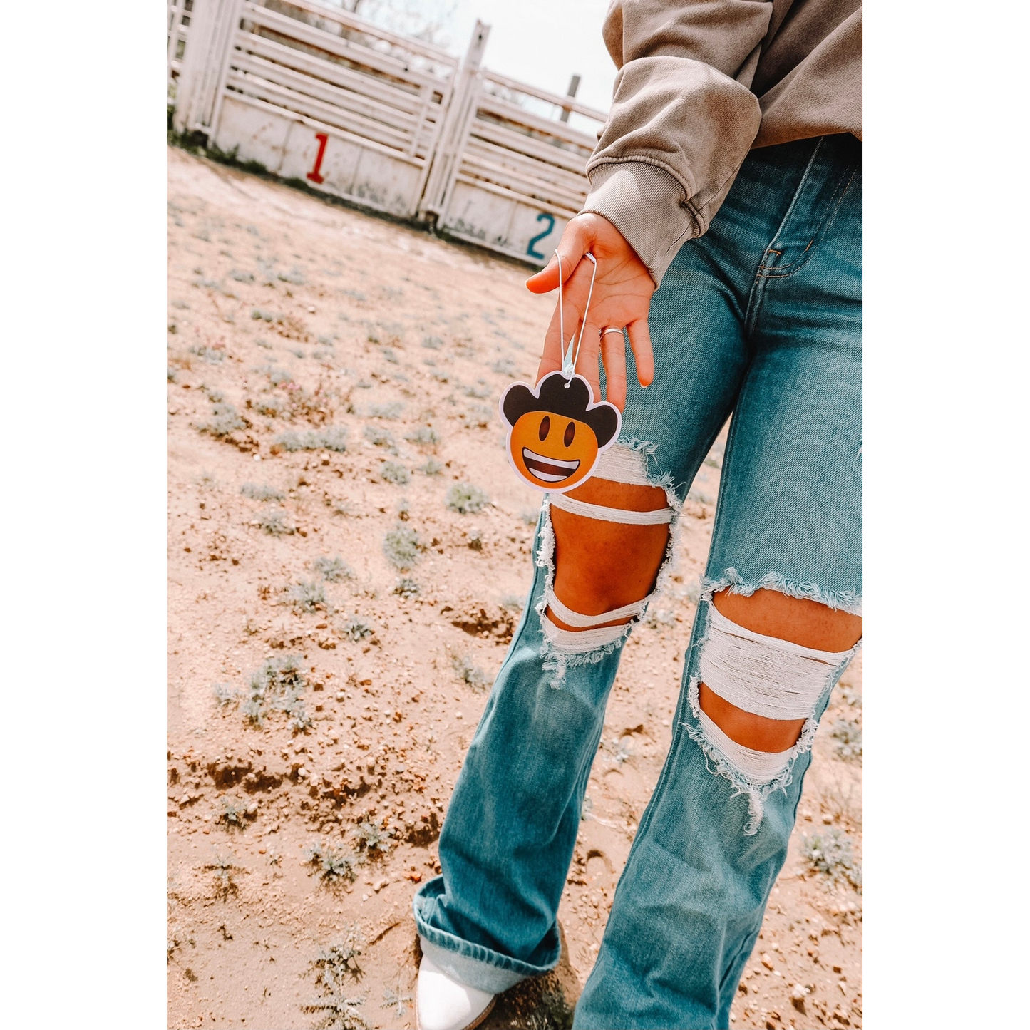 Front Porch Western Air Fresheners - Assorted Styles