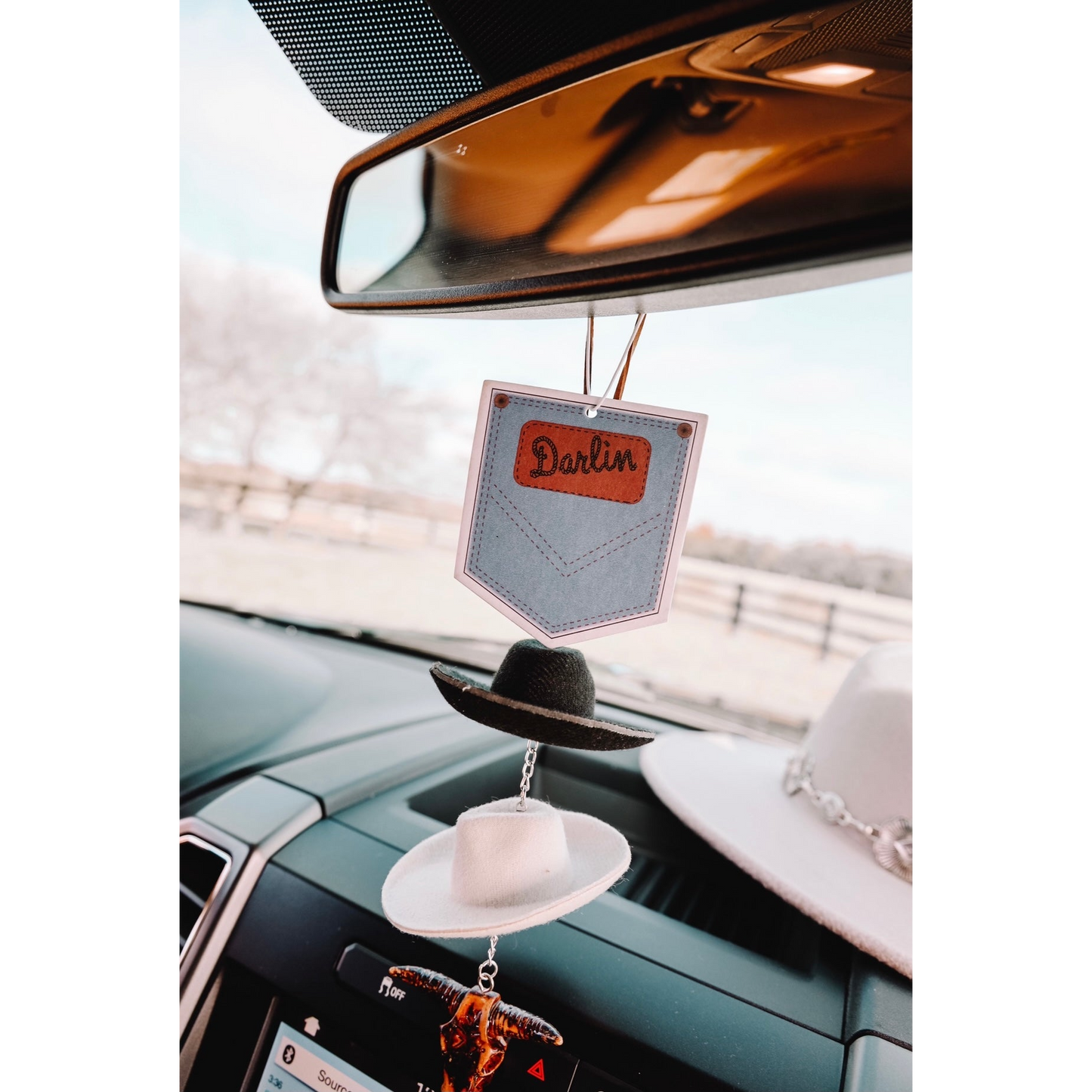 Front Porch Western Air Fresheners - Assorted Styles