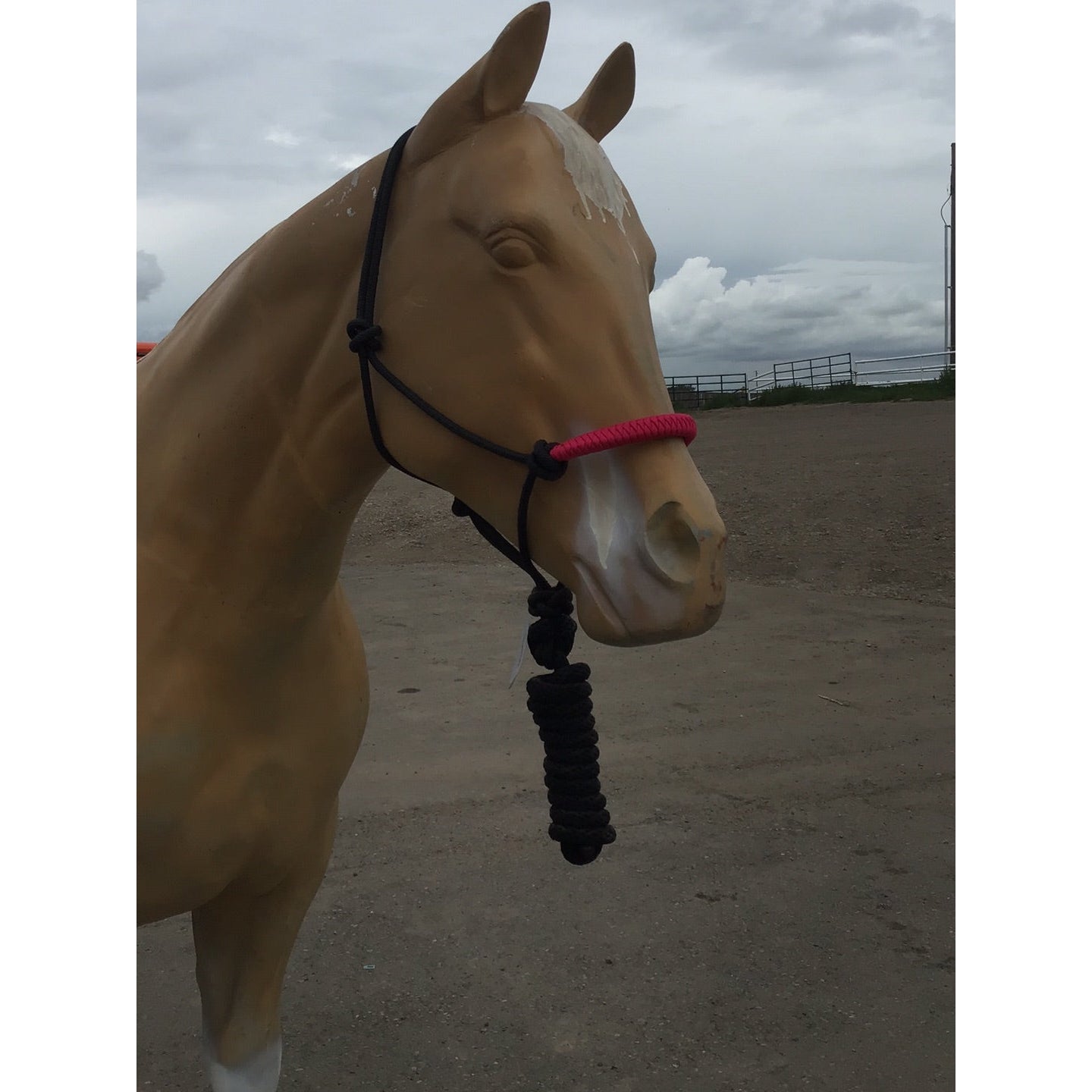 Irvine's Two-Tone Rope Halter w/ 8' Lead