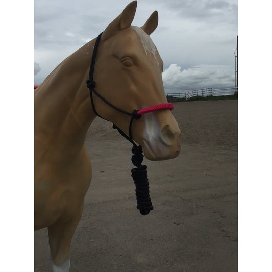 Irvine's Two-Tone Rope Halter w/ 8' Lead