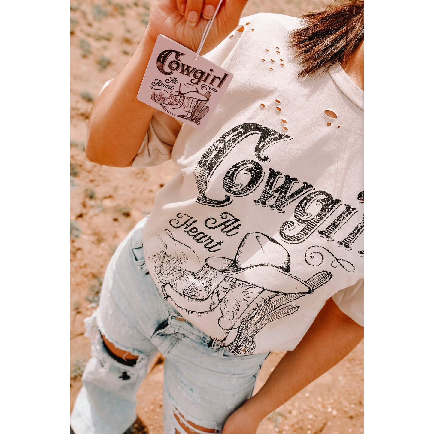 Front Porch Western Air Fresheners - Assorted Styles