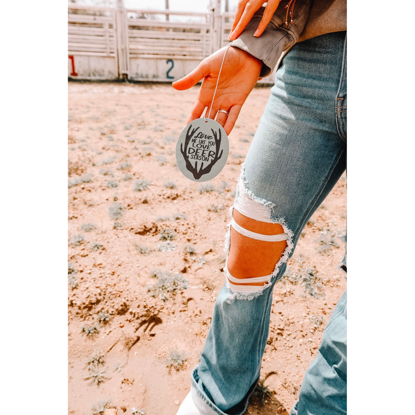 Front Porch Western Air Fresheners - Assorted Styles