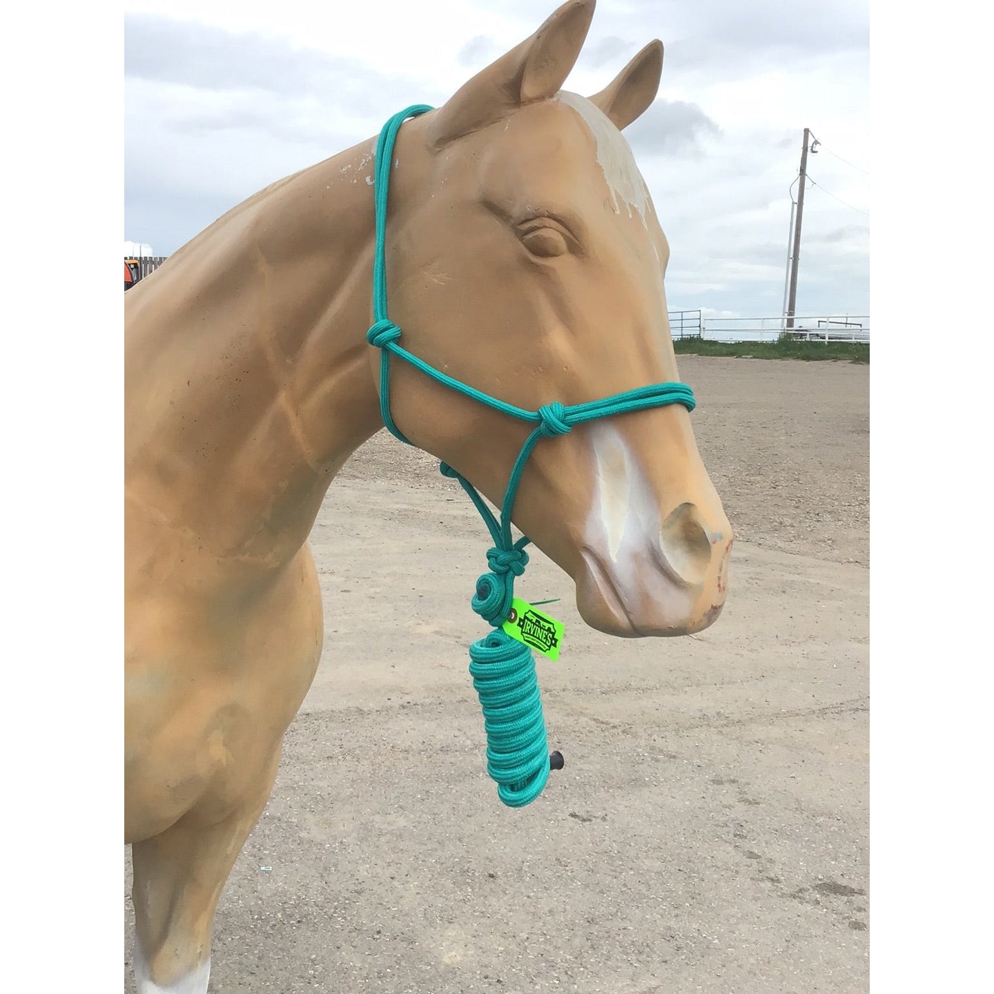 Irvine Rope Halter w/Matching Lead Rope