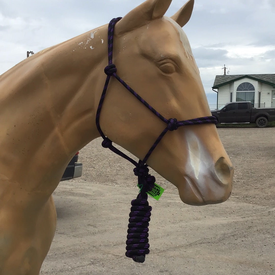 Irvine Rope Halter w/Matching Lead Rope