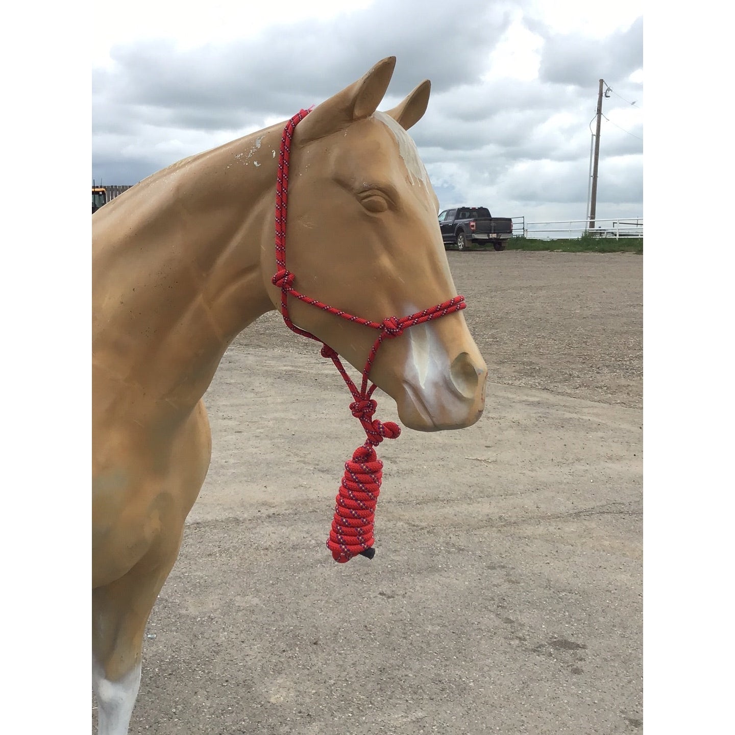 Irvine Rope Halter w/Matching Lead Rope