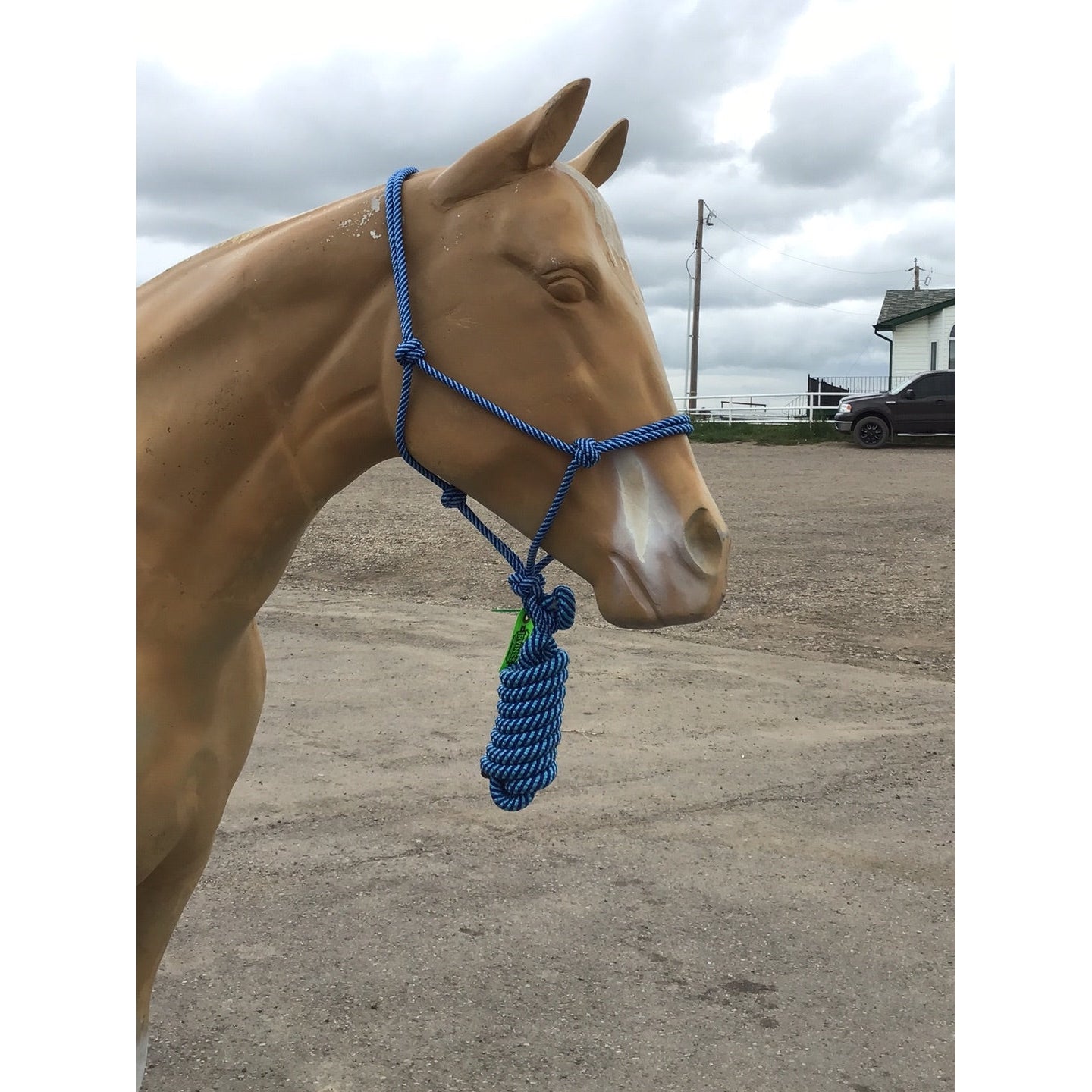 Irvine Rope Halter w/Matching Lead Rope