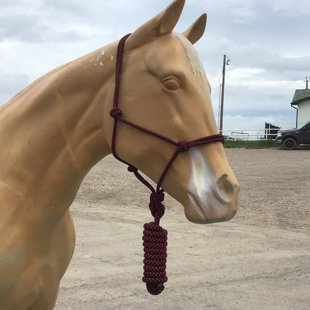 Irvine Rope Halter w/Matching Lead Rope
