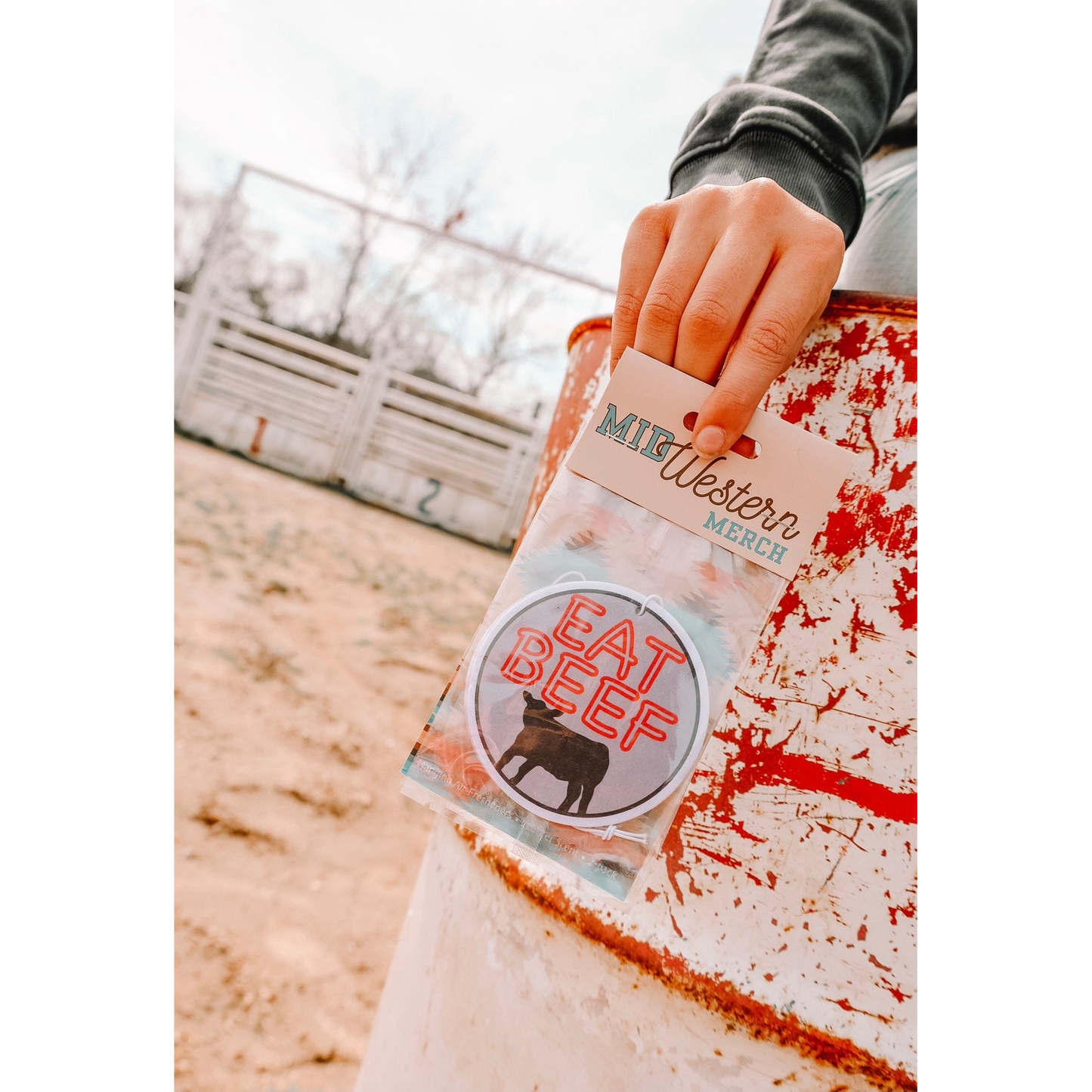 Front Porch Western Air Fresheners - Assorted Styles