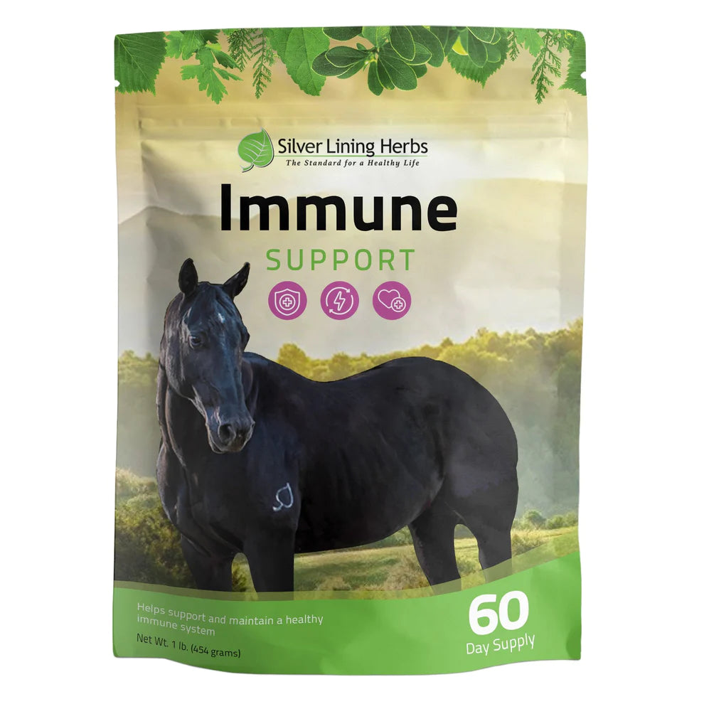 Silver Lining Herbs Immune Support 