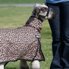 Weaver Medium Nylon Sheep Blanket with Mesh Butt- Multiple Colours