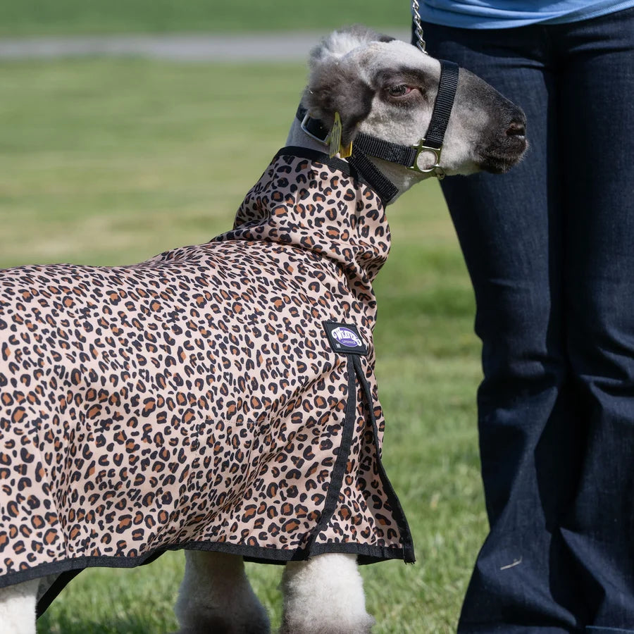 Weaver Medium Nylon Sheep Blanket with Mesh Butt- Multiple Colours