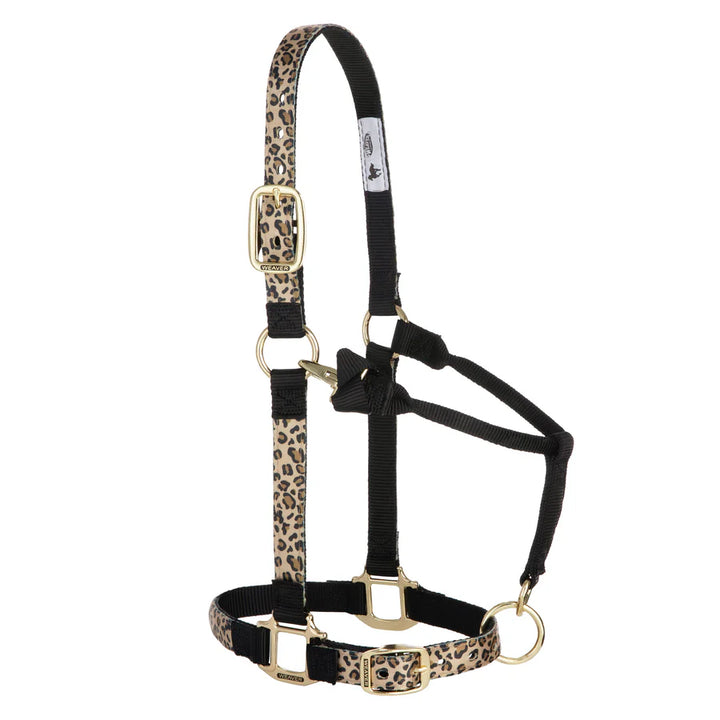 Weaver Leather Nylon Adjustable Chin and Throat Snap Horse Halter-Small Horse - Irvine Tack &amp; Western Wear
