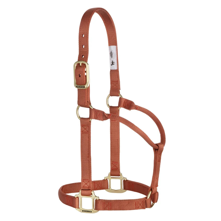 Weaver Leather Original Non-Adjustable Nylon Horse Halter -SMALL HORSE