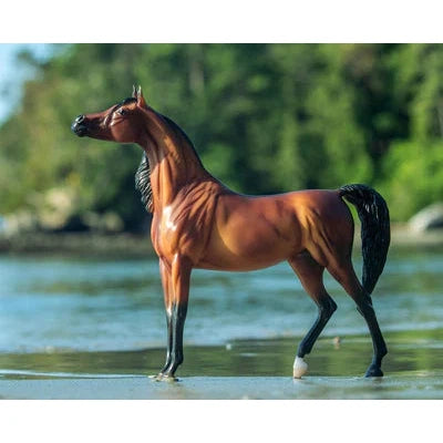 Breyer Kid's RD Marciea Bey - Champion Arabian Mare