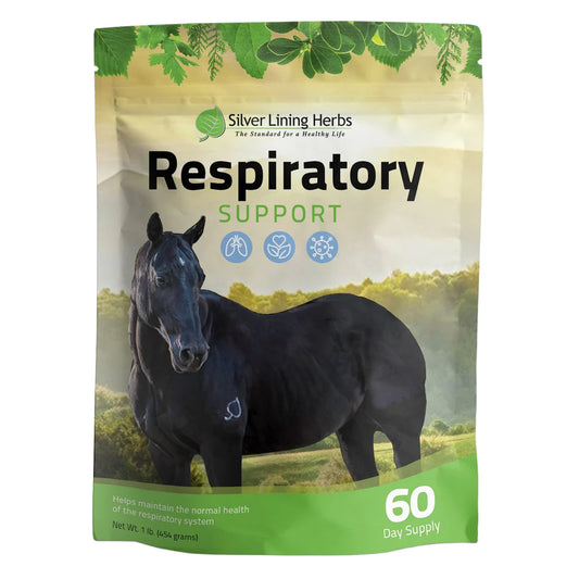 Silver Lining Herbs Respiratory Support -1LB